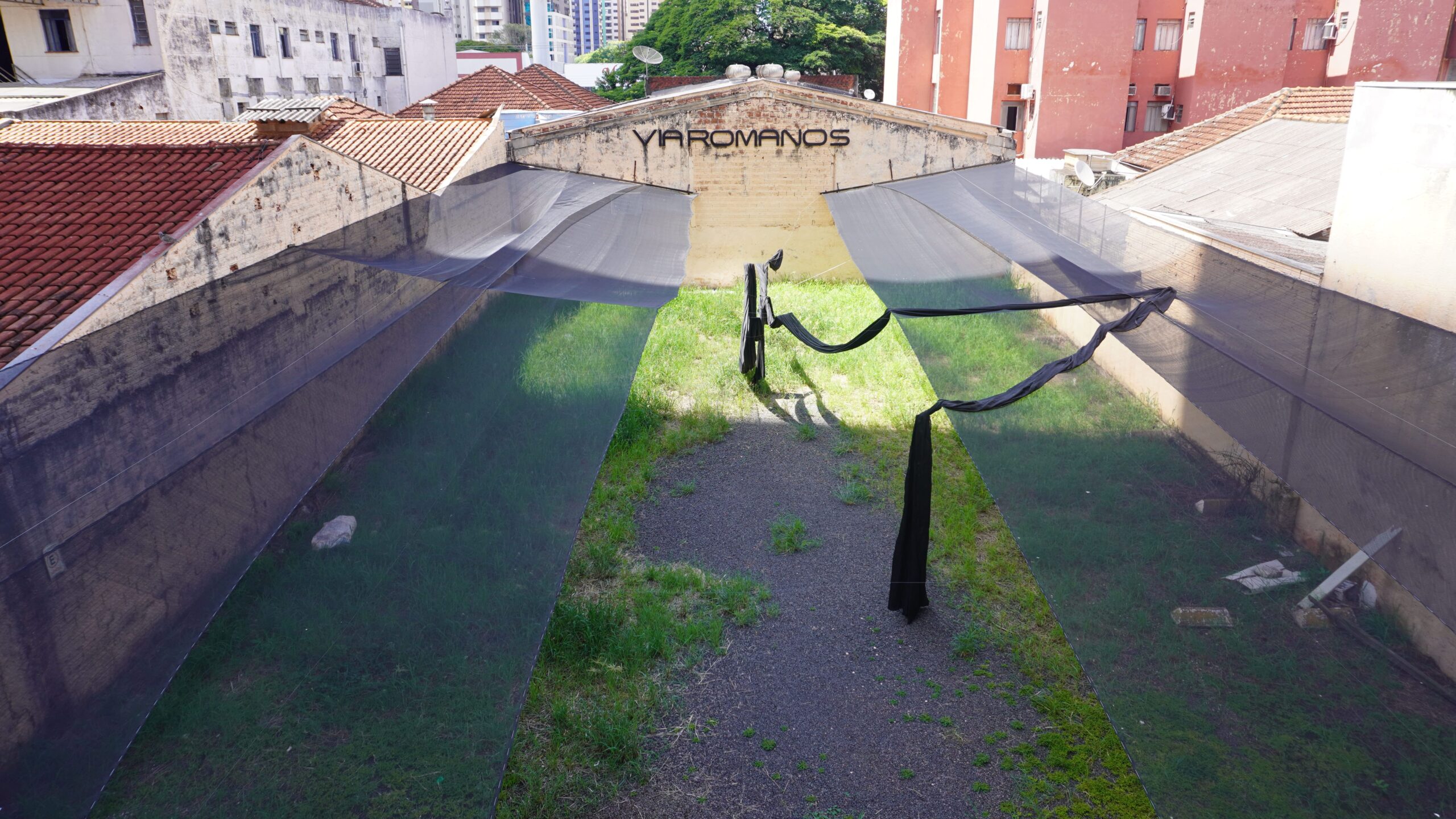TAMANDARE (1)