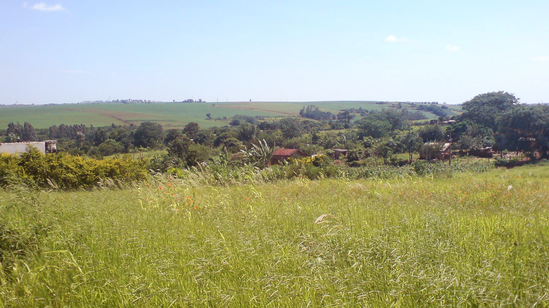 Terreno Monte Carmelo_2