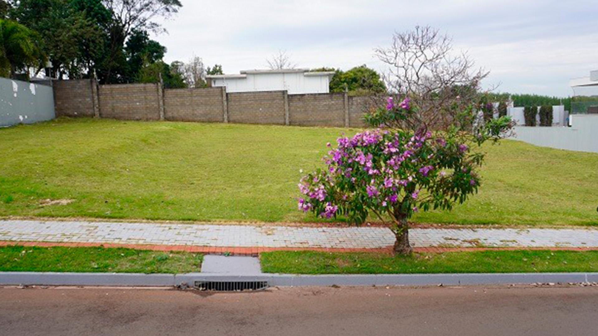 Terrenos Azaleia Park_7